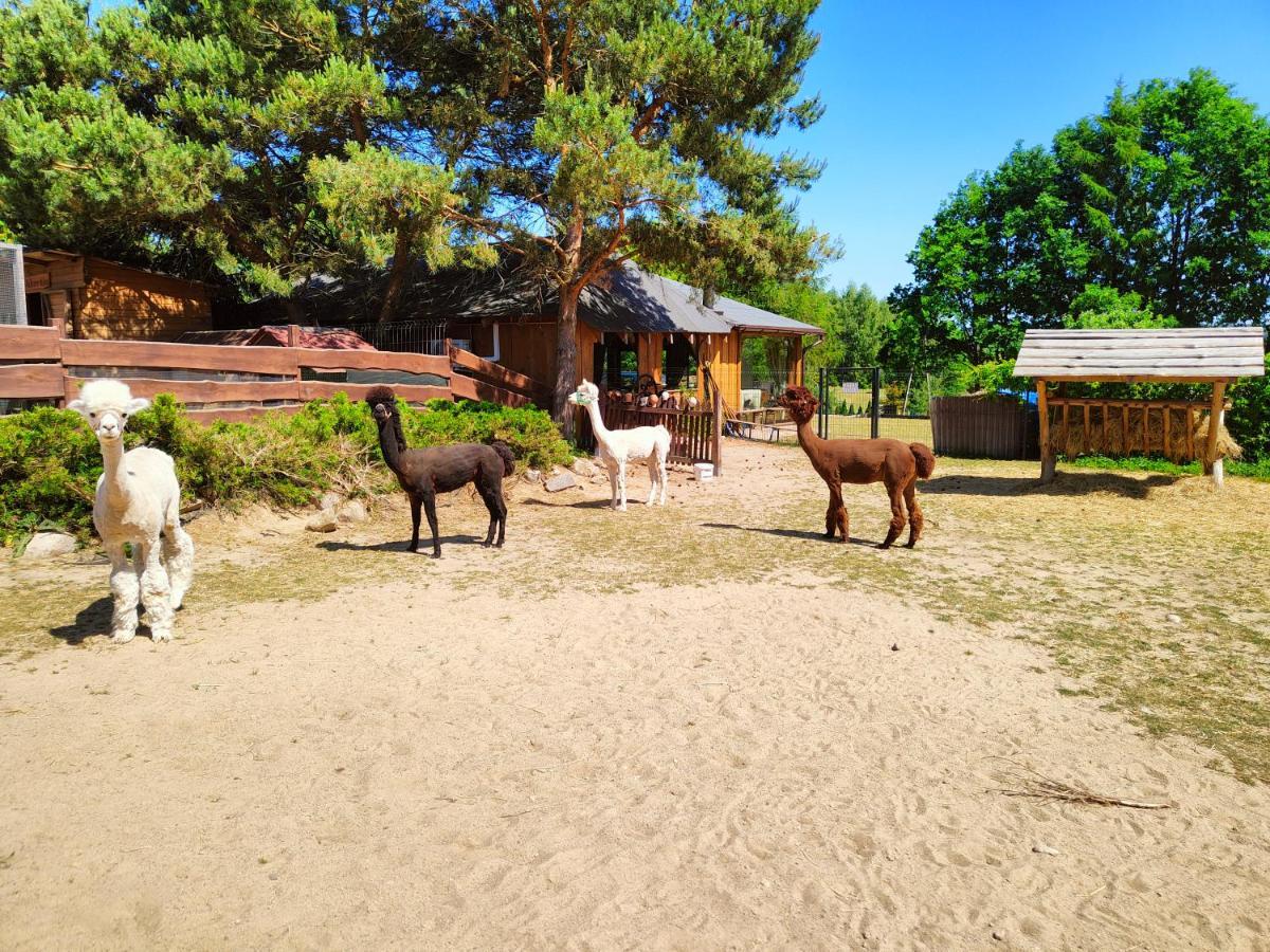 Domek Na Slonecznikowej Chmielno Buitenkant foto