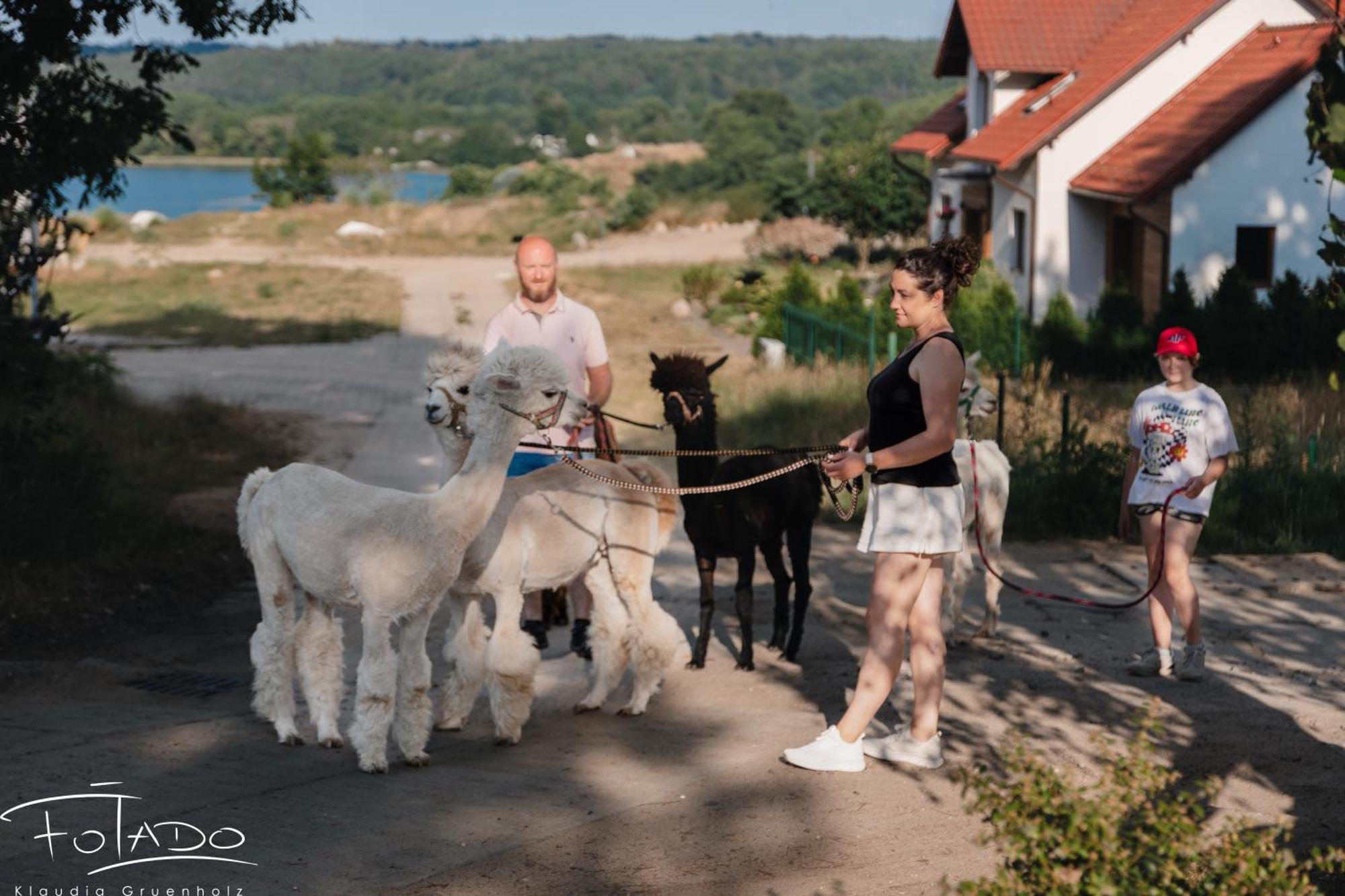 Domek Na Slonecznikowej Chmielno Buitenkant foto