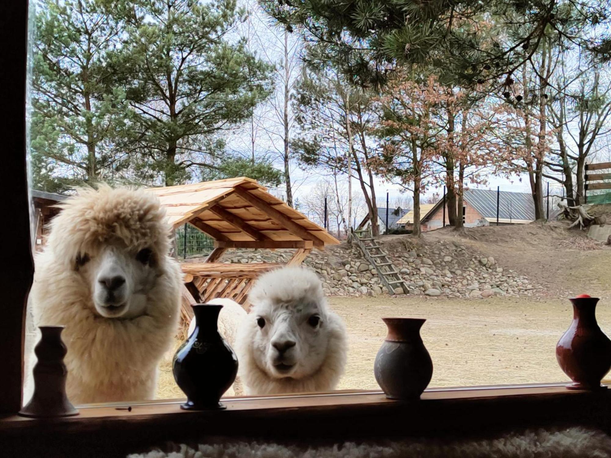 Domek Na Slonecznikowej Chmielno Buitenkant foto